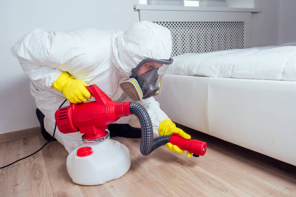 Flea Control Services in Cloquet, MN