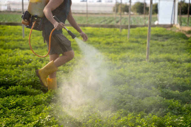 Best Residential Pest Control  in Cloquet, MN